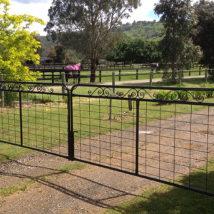 Decorative Gates