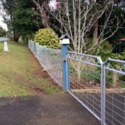 11800111_1879925615565013_157243228094128398_n