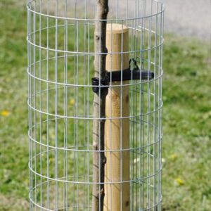 Wire Tree Guards